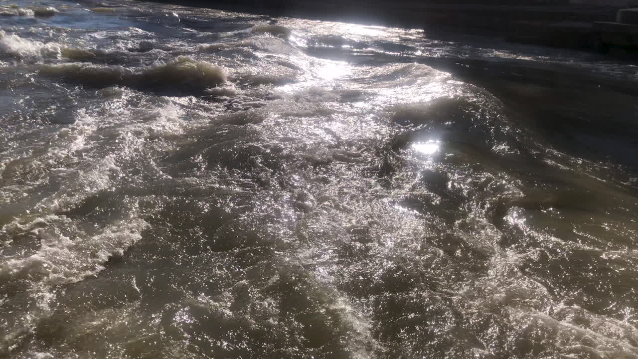 Bird silhouette flying over stream of rapid white water on a sunny day