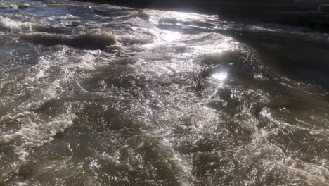 bird silhouette flying over stream of rapid white water on a sunny day