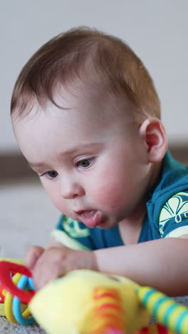 cute sweet child lies on the floor indoors. adorable baby pulling bright toy to his mouth. blurred backdrop. vertical video