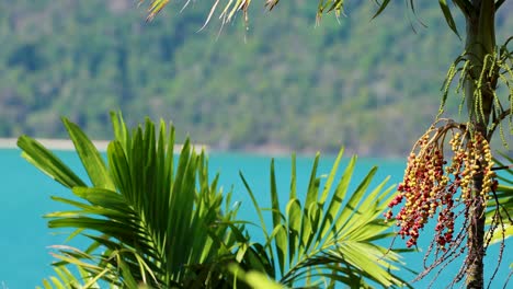 palm leaves sway gently against a vibrant ocean backdrop in phuket, thailand, capturing a serene tropical atmosphere