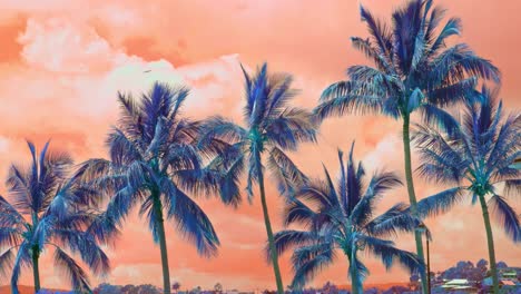 acid lsd trip palm trees, orange background