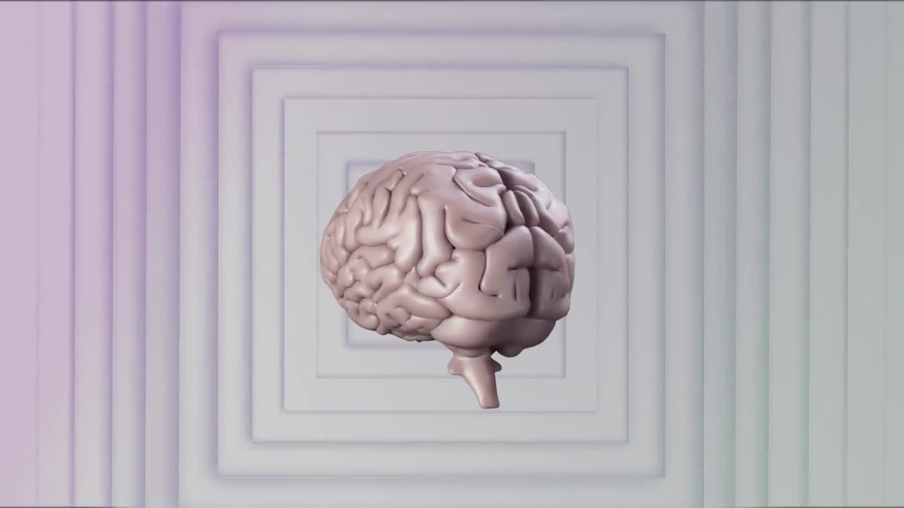 cerebro humano girando contra cuadrados concéntricos en fondo blanco