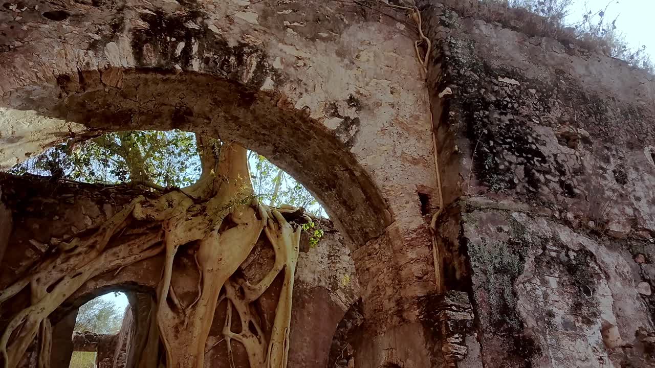Ancient ruins with tree roots growing over stone arch at Hacienda Ixtoluca ruins