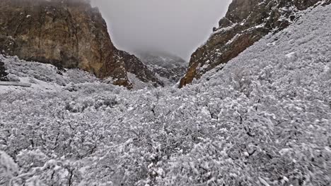 Arbustos-Cubiertos-De-Nieve-Y-Matorrales-Como-árboles-Con-épicos-Acantilados-De-Cuarzo-Irregulares-Del-Cañón-De-Roca,-Provo-Utah