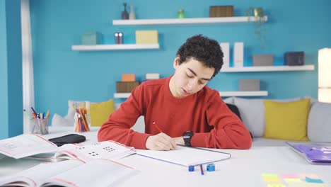 smart boy studying at home.