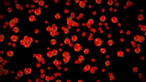 volando muchos tomates frescos en fondo negro. verduras orgánicas. tomates de cereza maduros y jugosos. animación de bucle 3d de tomate girando.