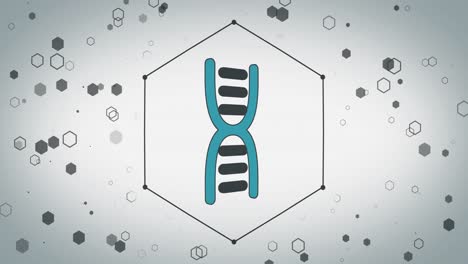 Animation-of-dna-strand-icon-over-hexagons-on-white-background