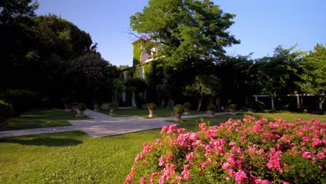 slow revealing shot of a countryside villa from behind a bed of pink roses