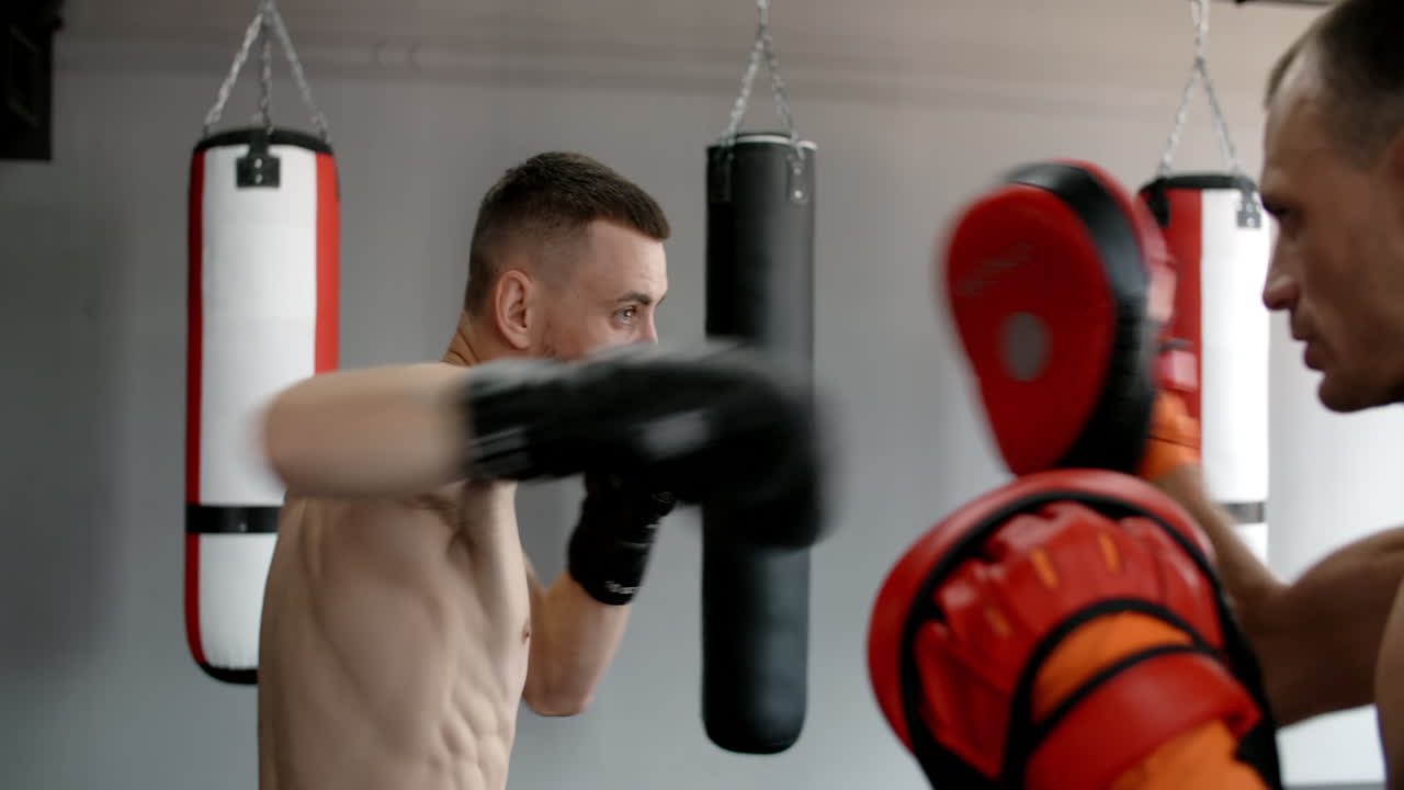 권투 훈련 세션