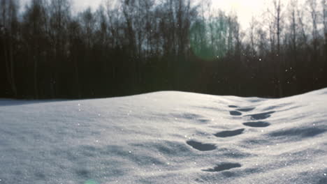 雪落在闪闪发光的雪地上, 覆盖着脚印的地面