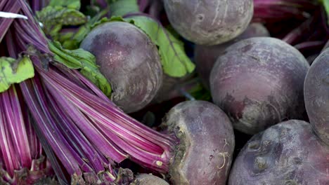 Fresh-sugarbeet-on-display-for-sale-at-free-fair