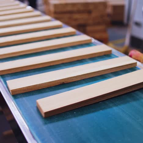 wooden boards moves in a conveyor line. manufacturing for parquet floor production. modern industrial workshop for furniture production.