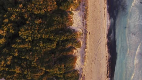 Erstaunliche-Top-down-aufnahme-Eines-Farbenfrohen-Strandes-Auf-Mallorca-Bei-Sonnenaufgang---Leer,-Covid---19---Krisen---Spanien-Mallorca