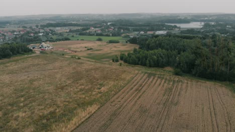 View-of-forest-and-field-in-Kolbudy,-Kaszubia,-pomorskie,-Poland