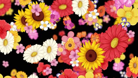 vibrant flowers animate against a dark backdrop