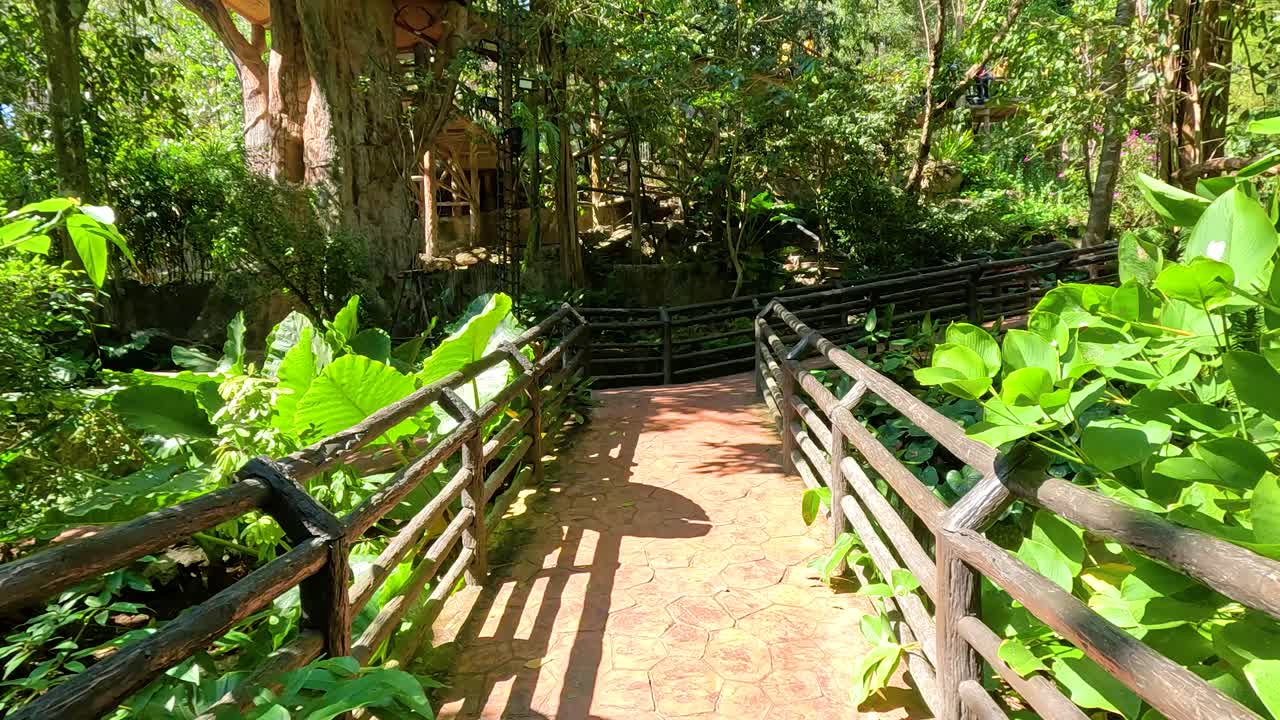 A tranquil walkway surrounded by vibrant greenery in a sunlit aviary at Khao Kheow Open Zoo, Chonburi, Thailand