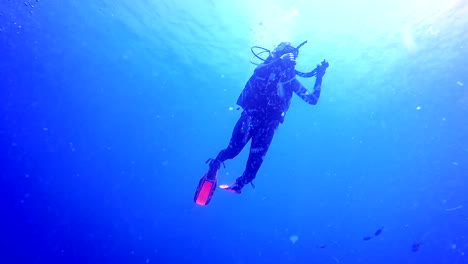 female scuba diver swimming close to the surface