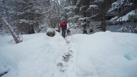 Männlicher-Wanderer-Und-Sein-Hundetrekking-Auf-Waldweg-Mit-Dichtem-Schnee,-Der-Den-Boden-In-Norwegen-Bedeckt