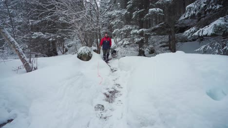 male hiker and his pet dog trekking on forest trail with thick snow covering the ground in norway