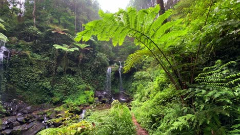 2-Cascadas-Adyacentes-Se-Encuentran-En-Medio-De-Un-Bosque-Con-Vegetación-De-Pasto-Verde.