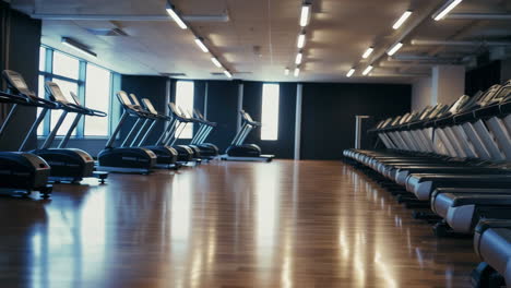 a row of modern treadmills in an empty gym