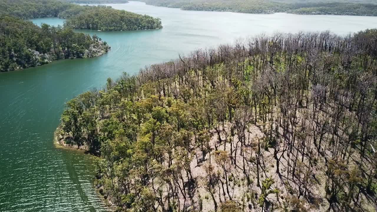 imágenes aéreas inversas sobre el bosque nativo quemado en la entrada de mallacoota, en el este de victoria, australia, diciembre de 2020, un año después de que los incendios forestales afectaran la región