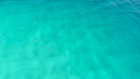 aerial drone view of bahamas deserted island crystal blue water and reef