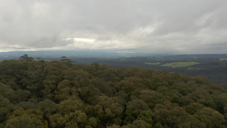 perspectiva de rampa aérea moviéndose hacia la niebla, revelando un paisaje exuberante bajo las nubes pesadas