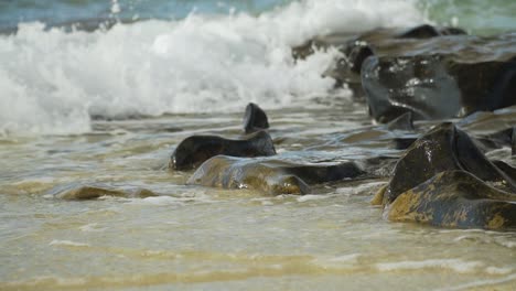 beautiful low angle shot of a wave breaking on dark rocks, island shoreline