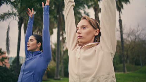 athletes pair practicing yoga nature close up. tranquil fit women raising hands