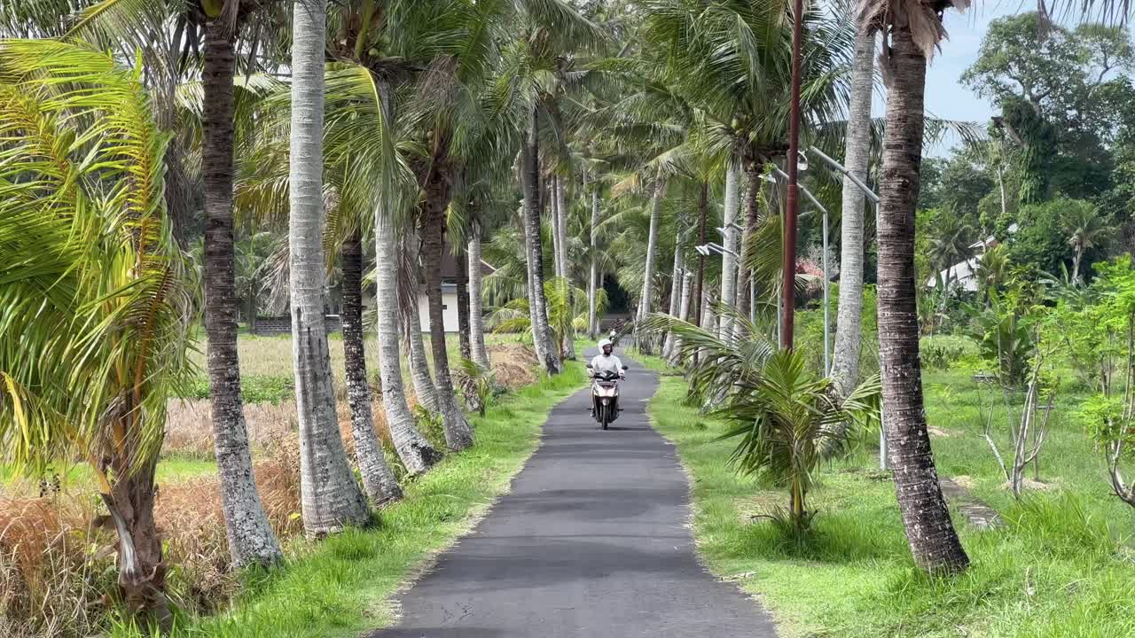 Exploring Ubud's Hidden Trails: Tourist Rides Scooter Amidst Coconut Palms in Bali