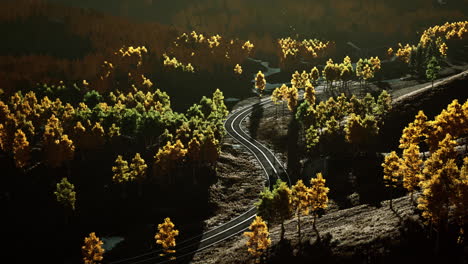 a winding road through a forest in the fall