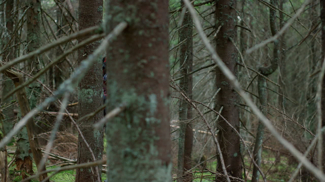 mujer feliz caminando en el bosque. viajera caminando en el bosque de cuentos de hadas