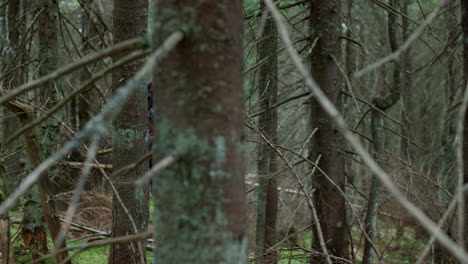 happy woman hiking in wood. female traveler walking in fairytale forest