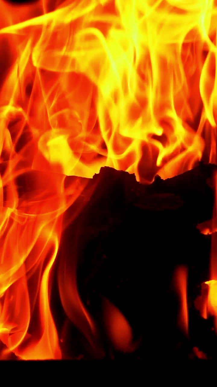 Bonfire. Burning Fire in Slow Motion. Woods fire. Slow motion Vertical video