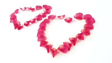 Rose-petals-forming-heart-shape-against-white-background