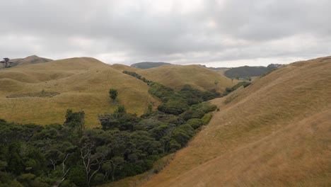 el lapso de tiempo estático de las colinas cubiertas de hierba y los pastos en el campo de nueva zelanda durante un día nublado de verano en 4k