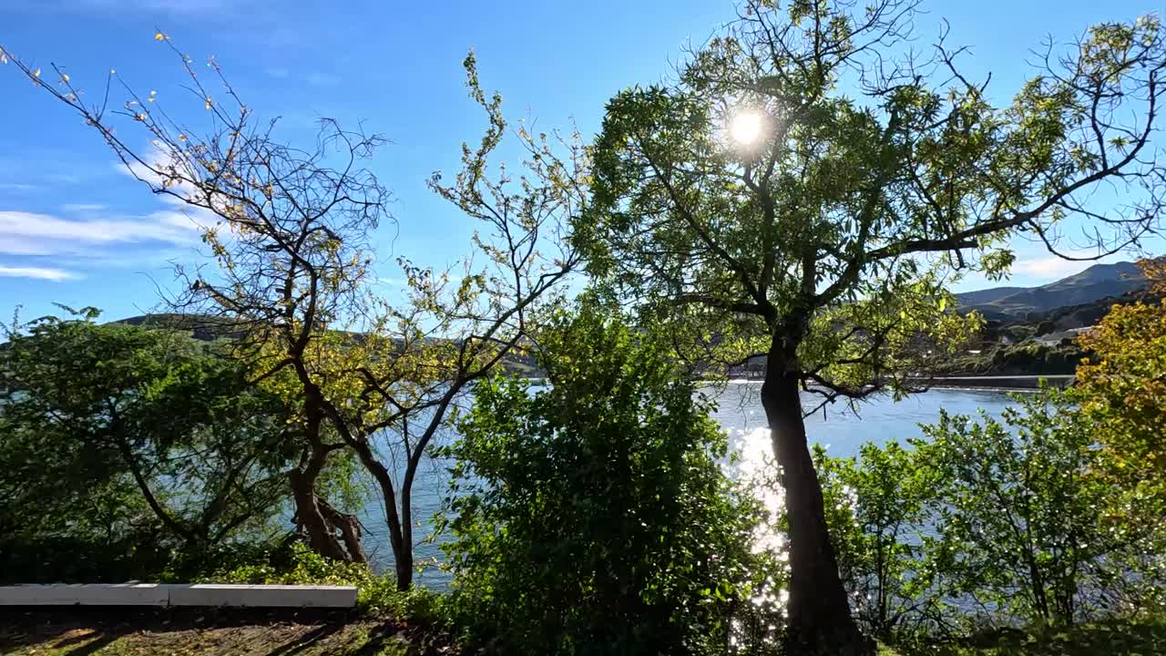A serene drive captures Akaroa's waterfront, showcasing vibrant trees, calm waters, and a bright sunrise in a tranquil setting