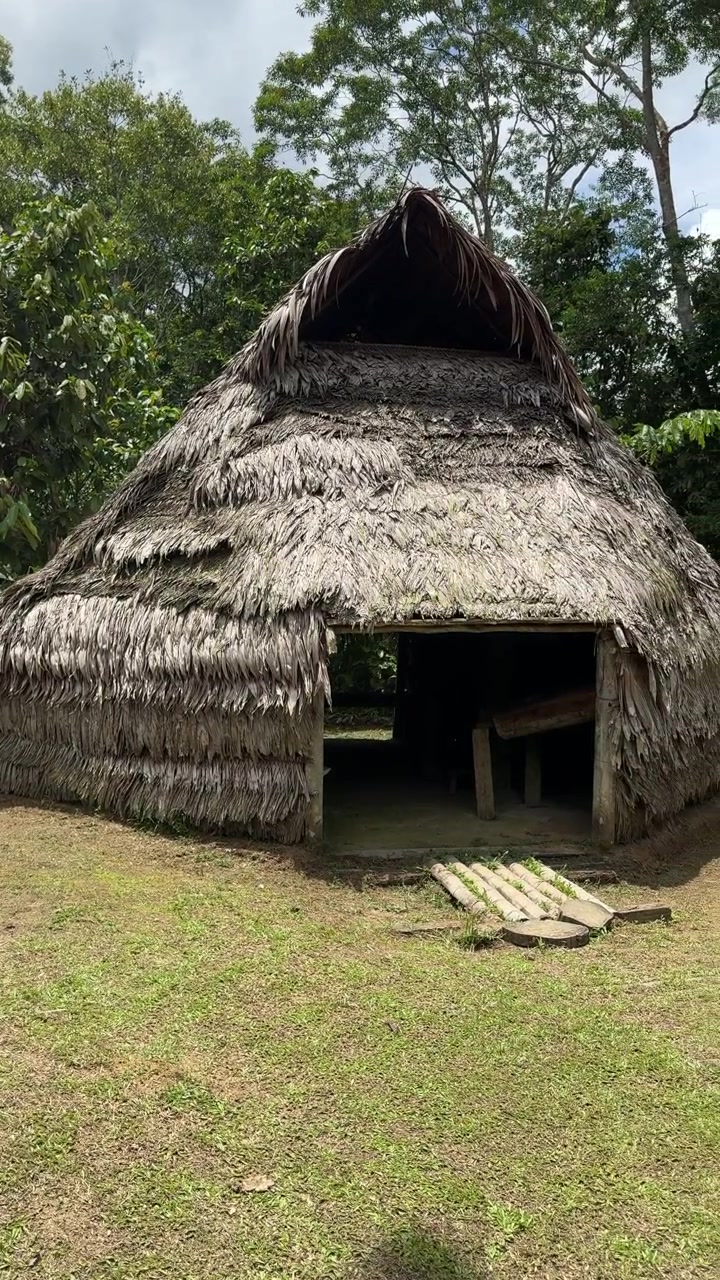 Un padiglione rustico con tetto di paglia si erge in mezzo alla fitta vegetazione amazzonica. Ideale per documentari culturali o di viaggio che esplorano l'architettura indigena.