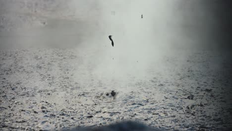 natural geothermal bubbling, a symbol of nature's ferocity,resilience