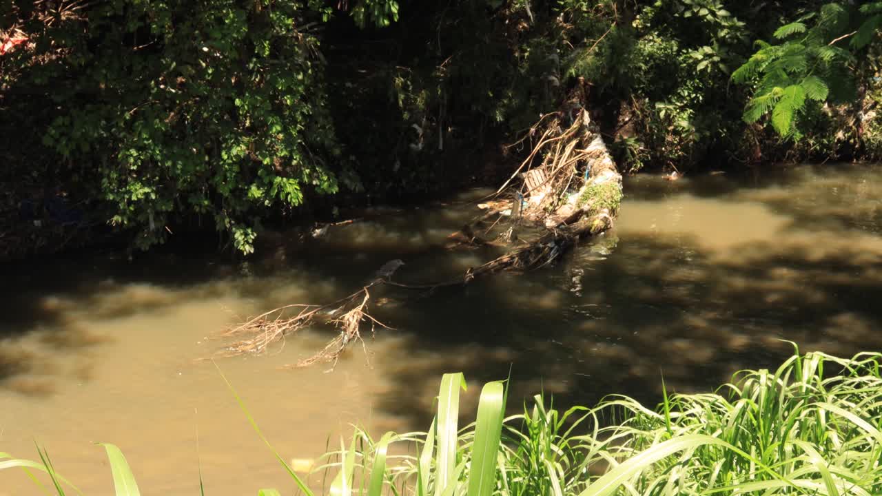 리우데자네이루는 자연 분해되지 않는 쓰레기로 강둑을 파괴하고 범람과 홍수로 인해 녹지가 훼손되었습니다.