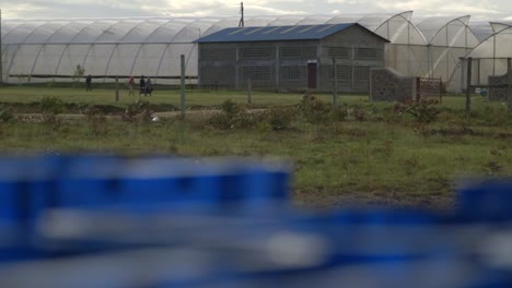 Kenyan-works-walking-in-a-big-farm-with-greenhouses