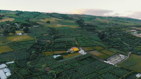 Isla-En-Portugal-Tanta-Naturaleza-Y-Mar