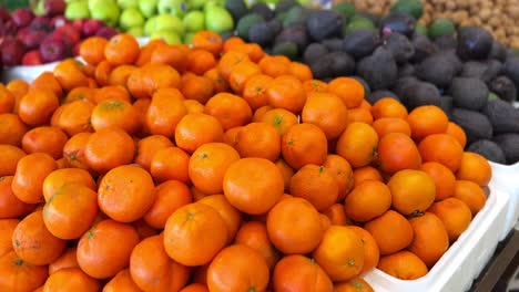 4k footage of vibrant oranges, avocados, and apples neatly stacked at a market. fresh produce display perfect for commercials, health content, or grocery store ads. bright, rich, and crisp visuals.