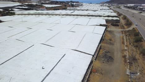 Aerial-ascending-shot-of-many-greenhouses-in-the-mediterranean-coast-of-Spain