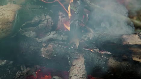 Burning-firewood-in-fireplace-closeup.-Flame-and-smoke-in-campfire