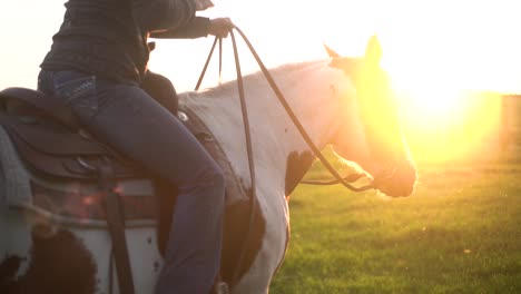 Vista-Lateral-De-Una-Mujer-Montando-Un-Hermoso-Caballo-Con-Una-Puesta-De-Sol-Detrás-En-Cámara-Lenta