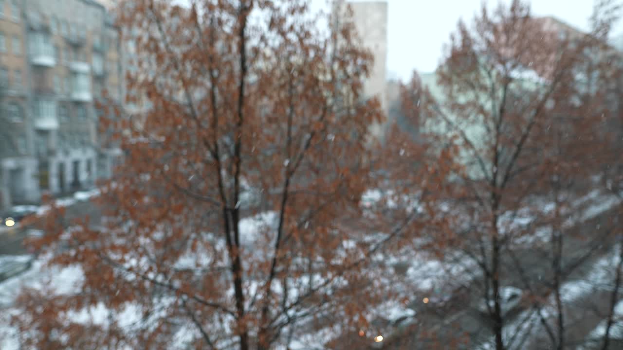 창문에서 눈 인 도시 풍경