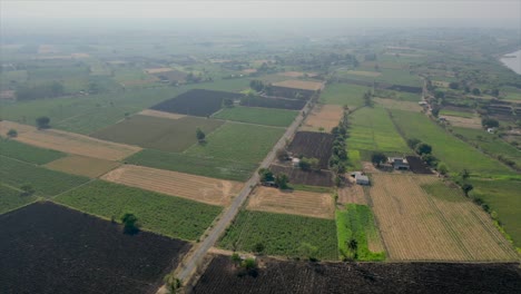 Grün-Ernte-Feld-Vogelperspektive