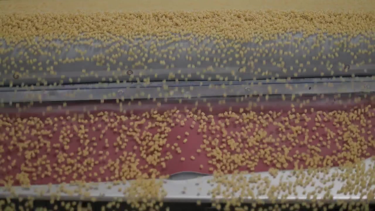 Lavorazione alimentare automatizzata, versamento di pasta cruda da uno scivolo in acciaio inossidabile su un nastro trasportatore